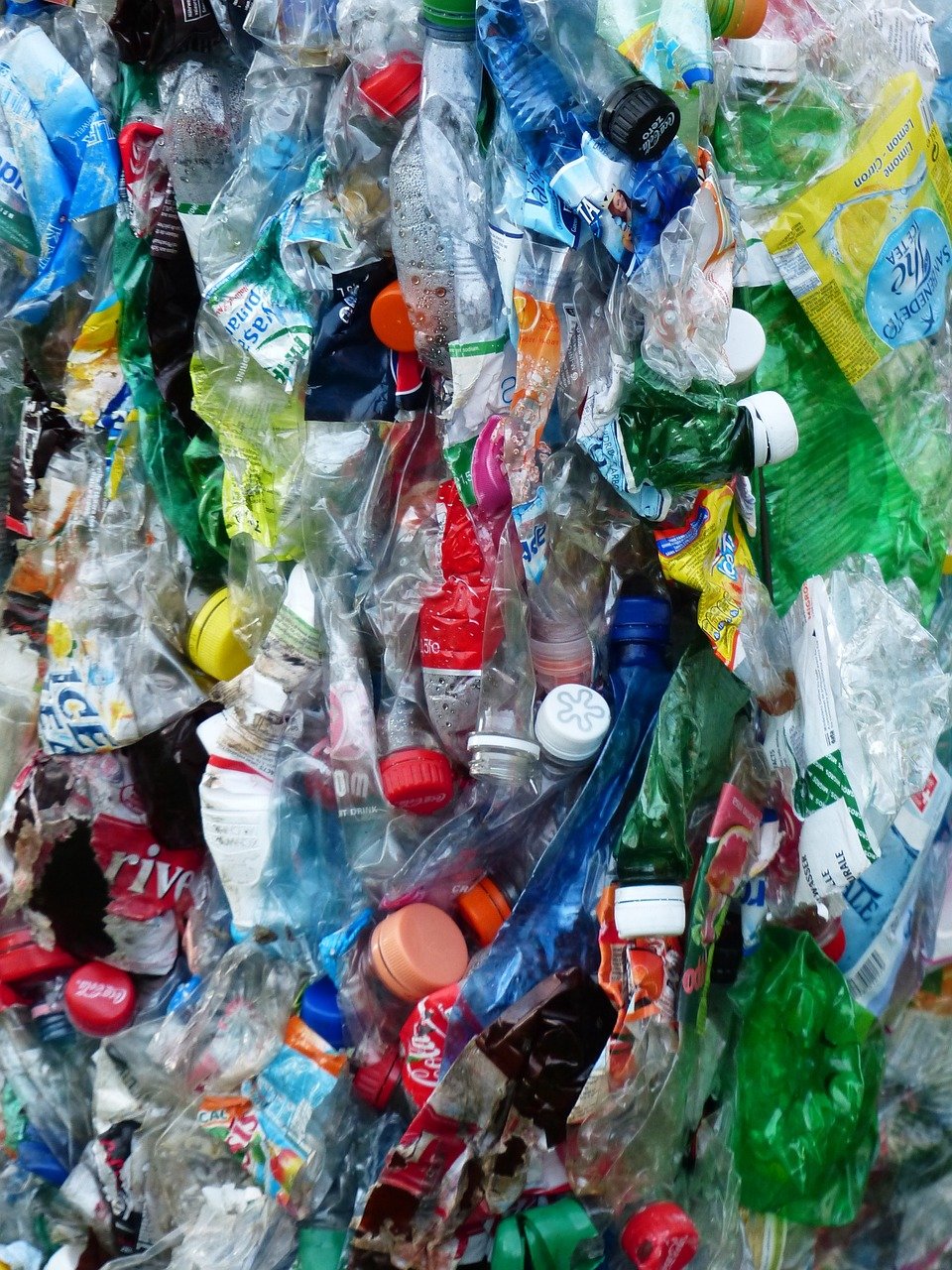 plastic bottles, bottles, recycling-115087.jpg